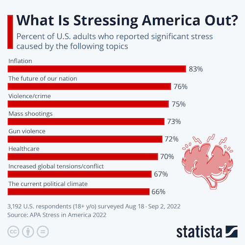 What Is Stressing America Out?
