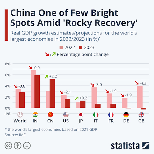 China One of Few Bright Spots Amid 'Rocky Recovery'