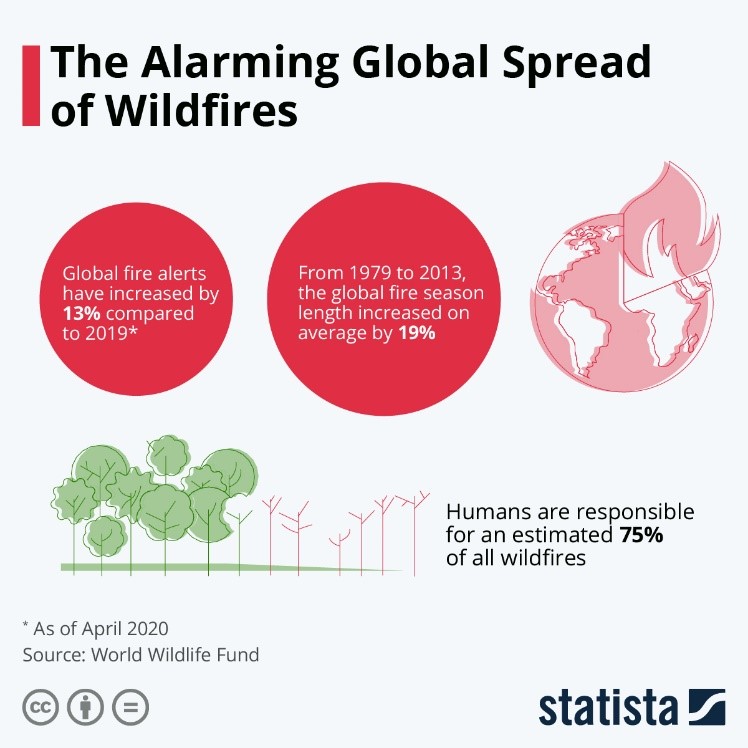 The Alarming Global Spread of Wildfires