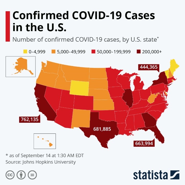 Confirmed COVID019 Cases in the US