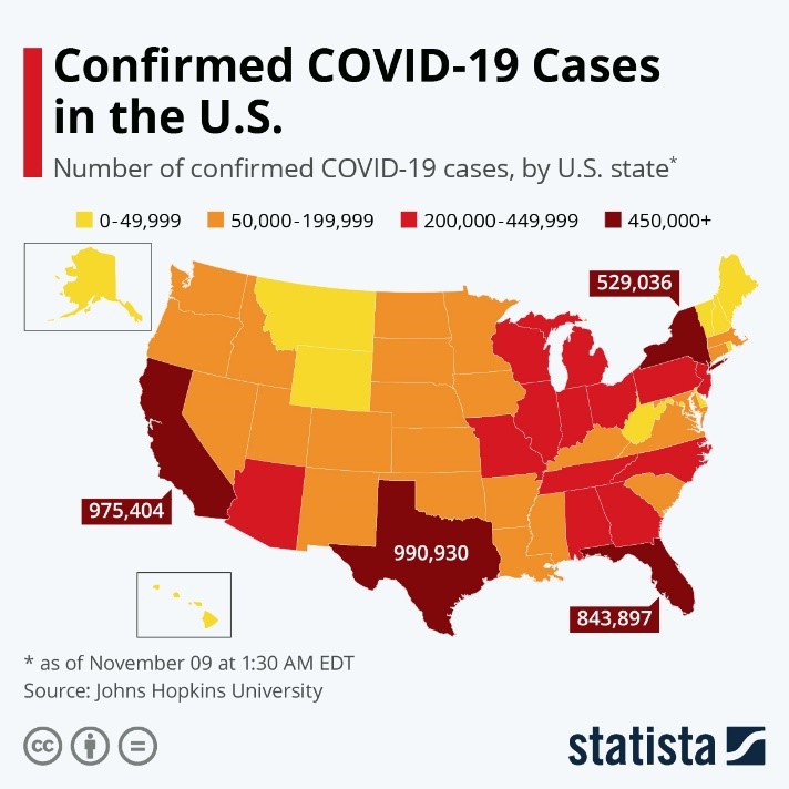 Confirmed COVID-19 Cases in the US