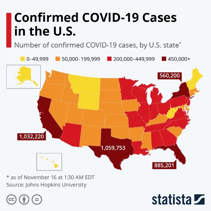 Confirmed COVID-19 Cases in the US