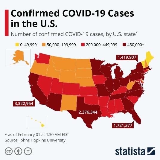 Confirmed COVID-19 Cases in the US