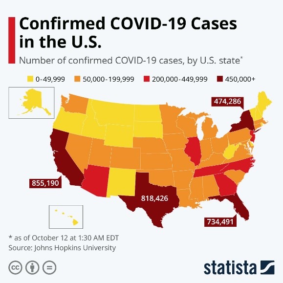 Confirmed COVID-19 Cases in the US
