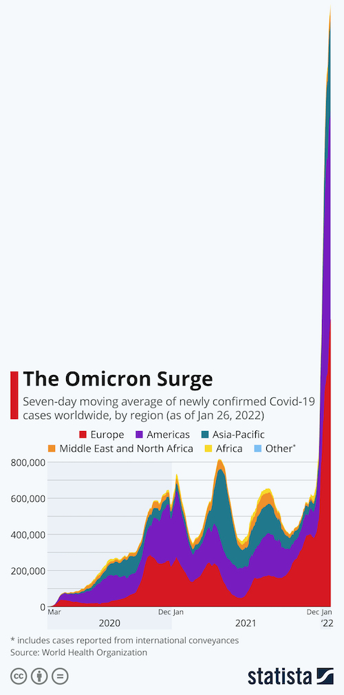 The Omicron Surge