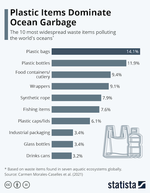 Plastic Items Dominate Ocean Garbage