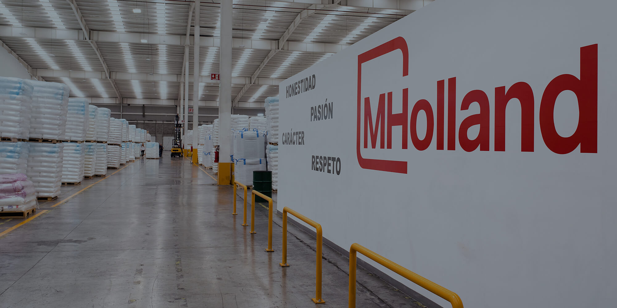 Plastic Resin Distributor M. Holland Announces New Vice President