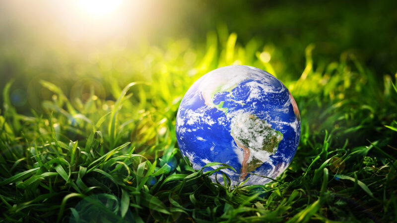 Earth planet in grass on sunny background.