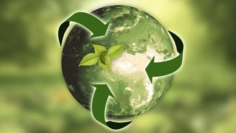 Sustainability Plastics Industry