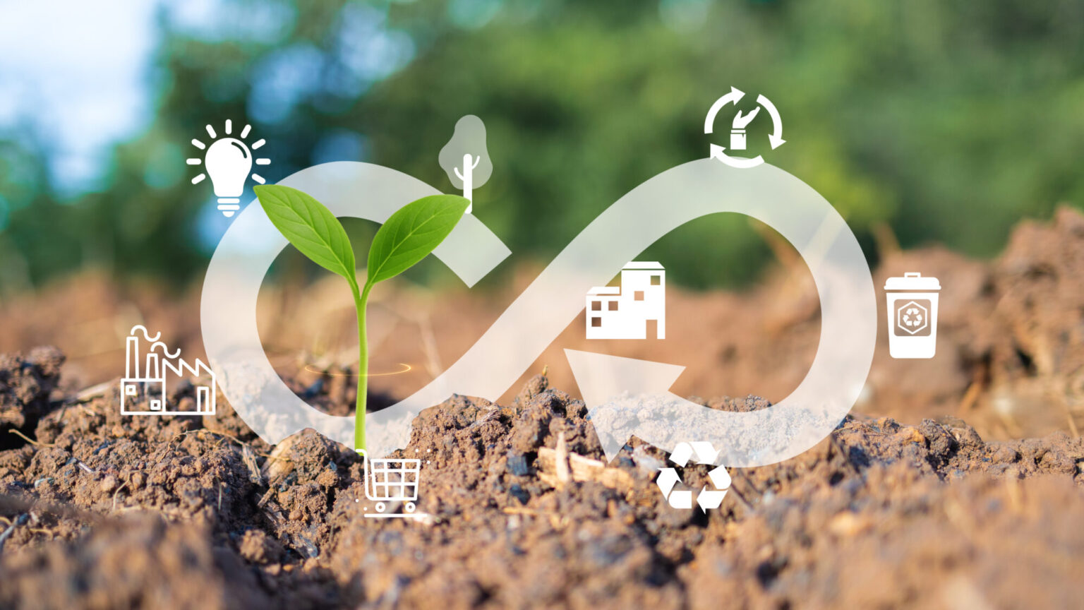 Illustration of a circular economy in the plastics industry, showing recycling, sustainable material innovation and reuse to support a circular plastics economy at Entec Polymers.
