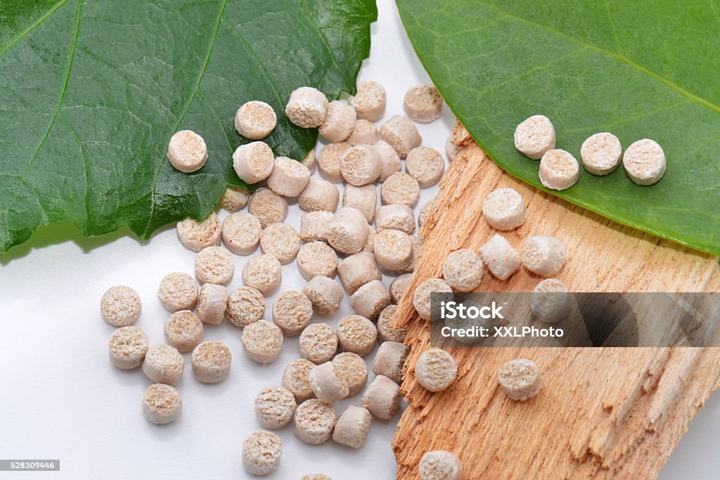 Biodegradable thermoplastic pellets with natural materials, showcasing sustainable resins and environmentally responsible plastics solutions.