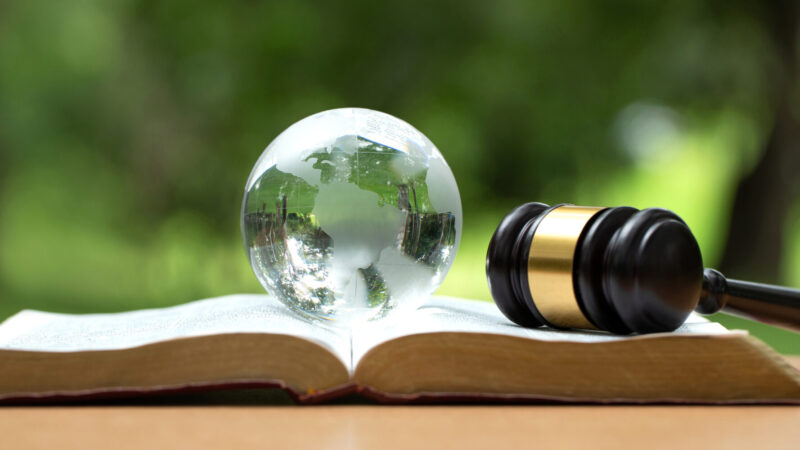 EPR Reporting Deadlines Put Packaging Compliance into Action