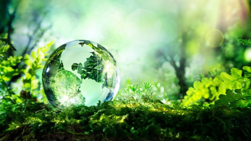 Plastics Industry Sustainability Globe Sphere In Green Forest